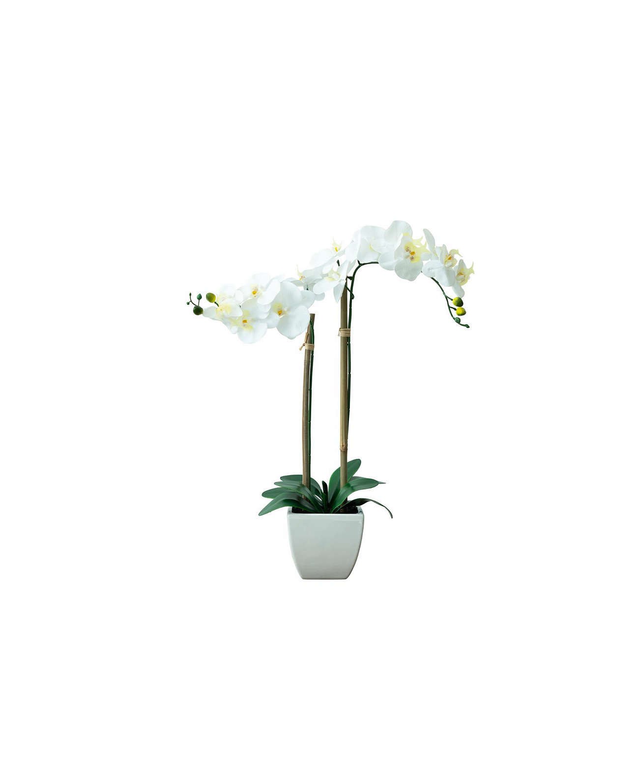 Tabletop Real Touch Artificial Orchid Nature's Elements