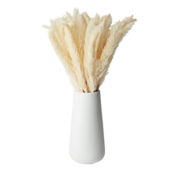 Ivory Natural Dried Pampas Grass with Ceramic Vase, 40 Bundles (16 Inches) Farmlyn Creek