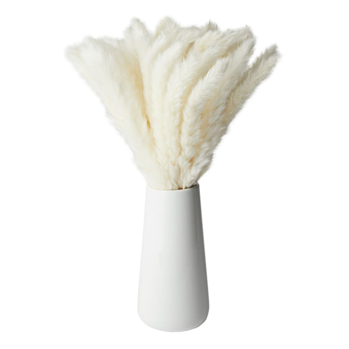 White Natural Dried Pampas Grass with Ceramic Vase, 40 Bundles (16 Inches) Farmlyn Creek