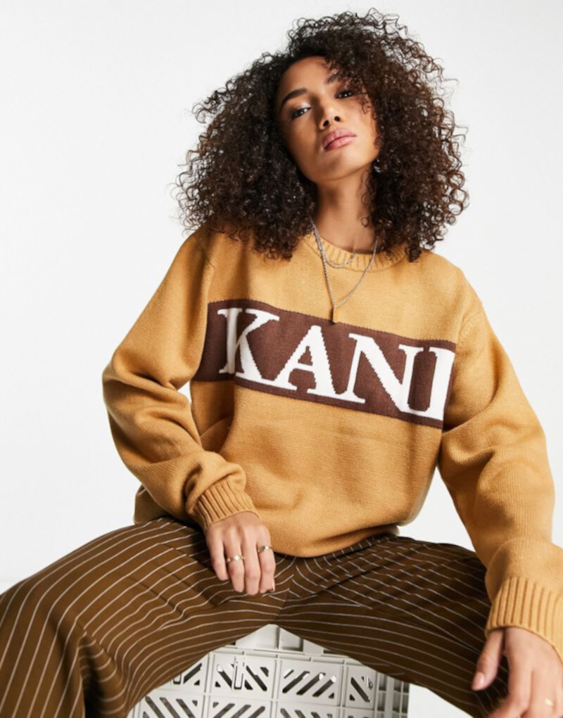 Крупный вязаный свитер Karl Kani с логотипом спереди Karl Kani