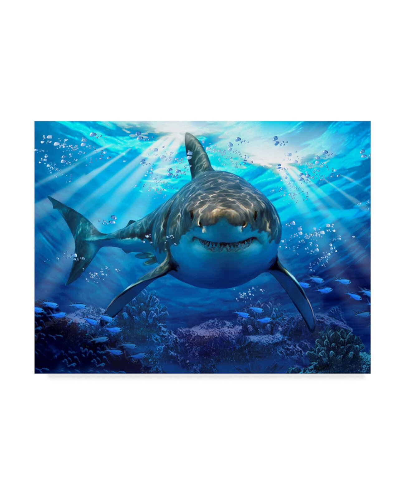 Холст с изображением акулы 'Stalking Shark' 48 x 36 см, современный стиль Trademark Global