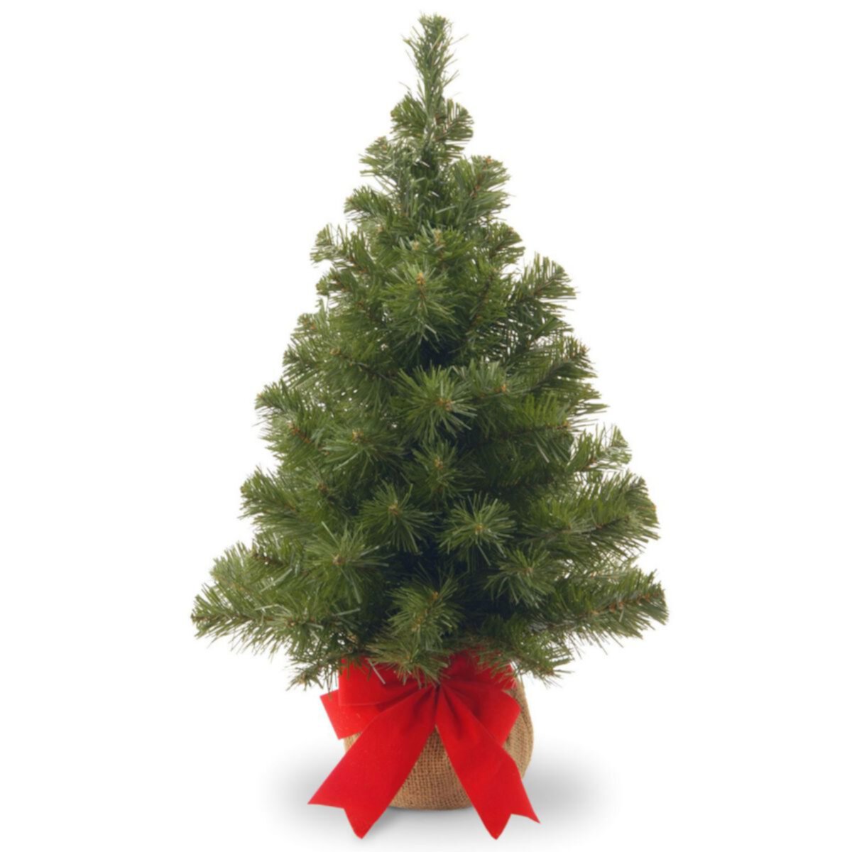 2' Potted Noble Spruce Medium Artificial Christmas Tree - Unlit National Tree Company