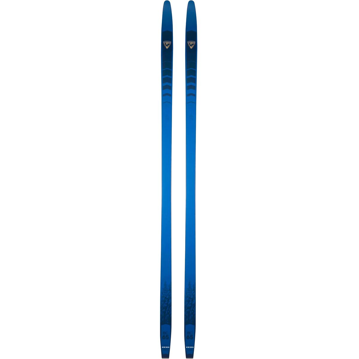 Беговые лыжи ROSSIGNOL BC 65 Positrack/BC Auto Ski - 2024 ROSSIGNOL