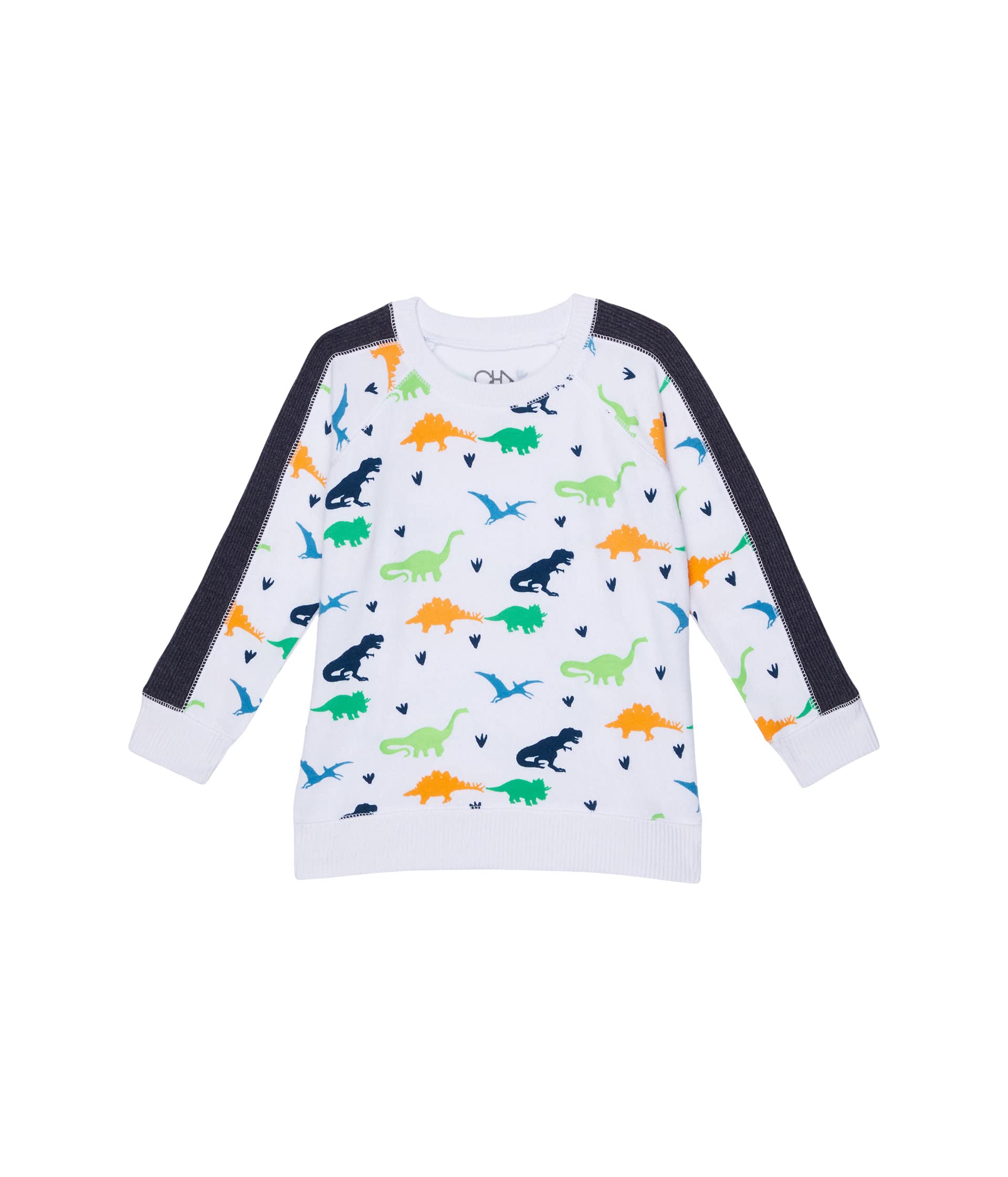 Dino Pullover (Toddler/Little Kids) Chaser