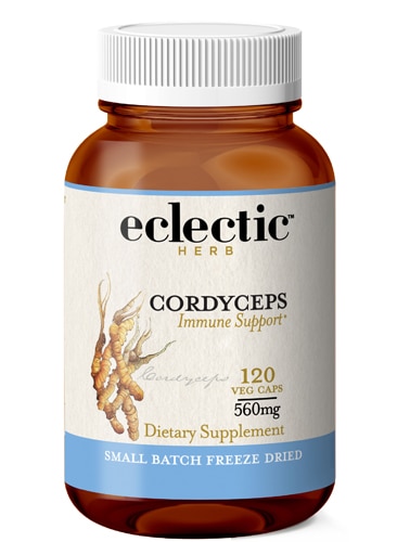 Eclectic Institute Cordyceps -- 120 вегетарианских капсул Eclectic Institute