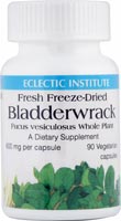 Bladderwrack -- 600 mg - 90 Veg Caps (Вегетарианские капсулы) Eclectic Institute