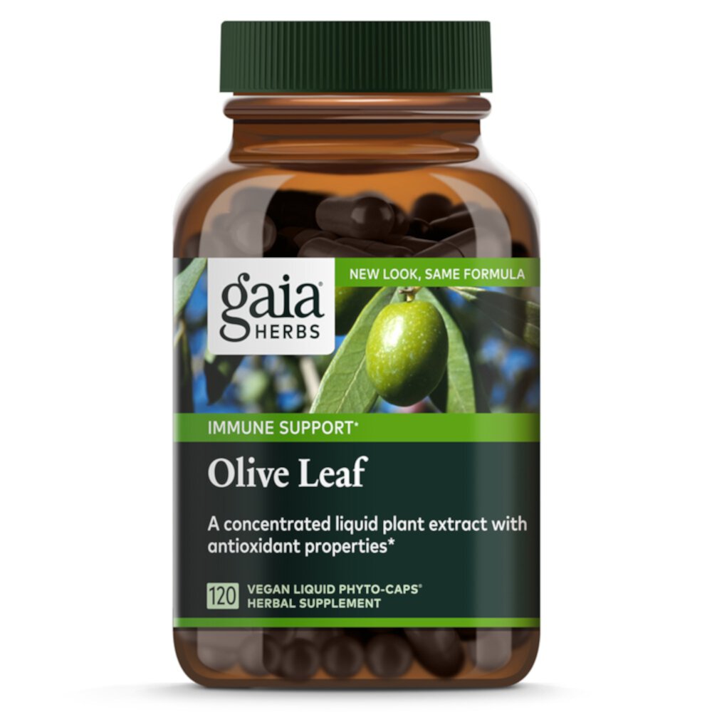 Single Herbs Olive Leaf -- 120 Vegan Capsules (Веганские капсулы) Gaia Herbs