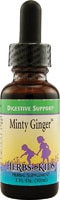 Minty Ginger™ -- 1 fl oz (Жидкие унции) Herbs for Kids