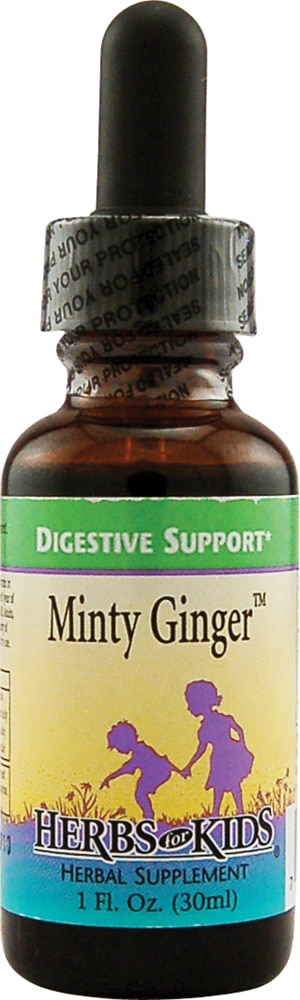 Minty Ginger™ -- 1 fl oz (Жидкие унции) Herbs for Kids