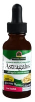 Astragalus -- 1 fl oz (Жидкие унции) Nature's Answer