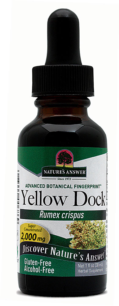 Yellowdock Root Alcohol Free -- 1 fl oz (Жидкие унции) Nature's Answer