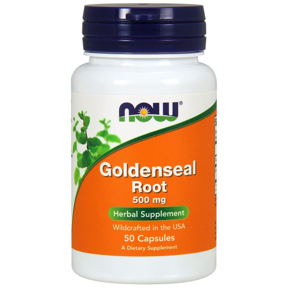 Goldenseal Root -- 500 mg - 50 Cards NOW Foods