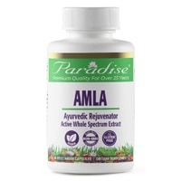 Organics® Amla -- 60 Vegetarian Capsules (Вегетарианские капсулы) Paradise Herbs