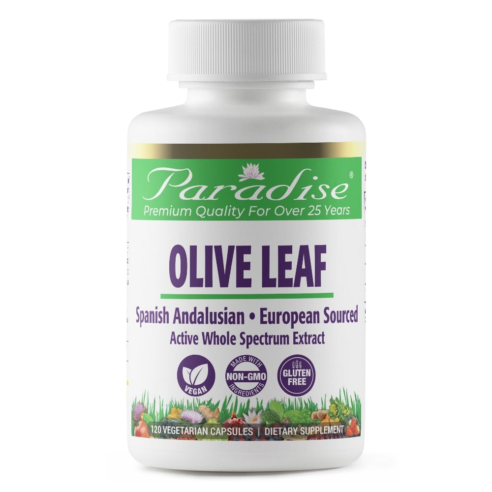 Оливковый лист — 120 вегетарианских капсул Paradise Herbs