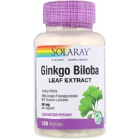 Ginkgo Biloba Extract -- 60 mg - 120 Vegetarian Capsules (Вегетарианские капсулы) Solaray