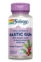 Экстракт Мастиковой Жвачки - 1000 мг - 45 растительных капсул - Solaray Solaray