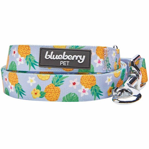 Blueberry Pet Zesty Fruit Dog Leash Blueberry Pet