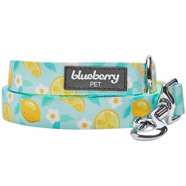 Blueberry Pet Zesty Fruit Dog Leash Blueberry Pet