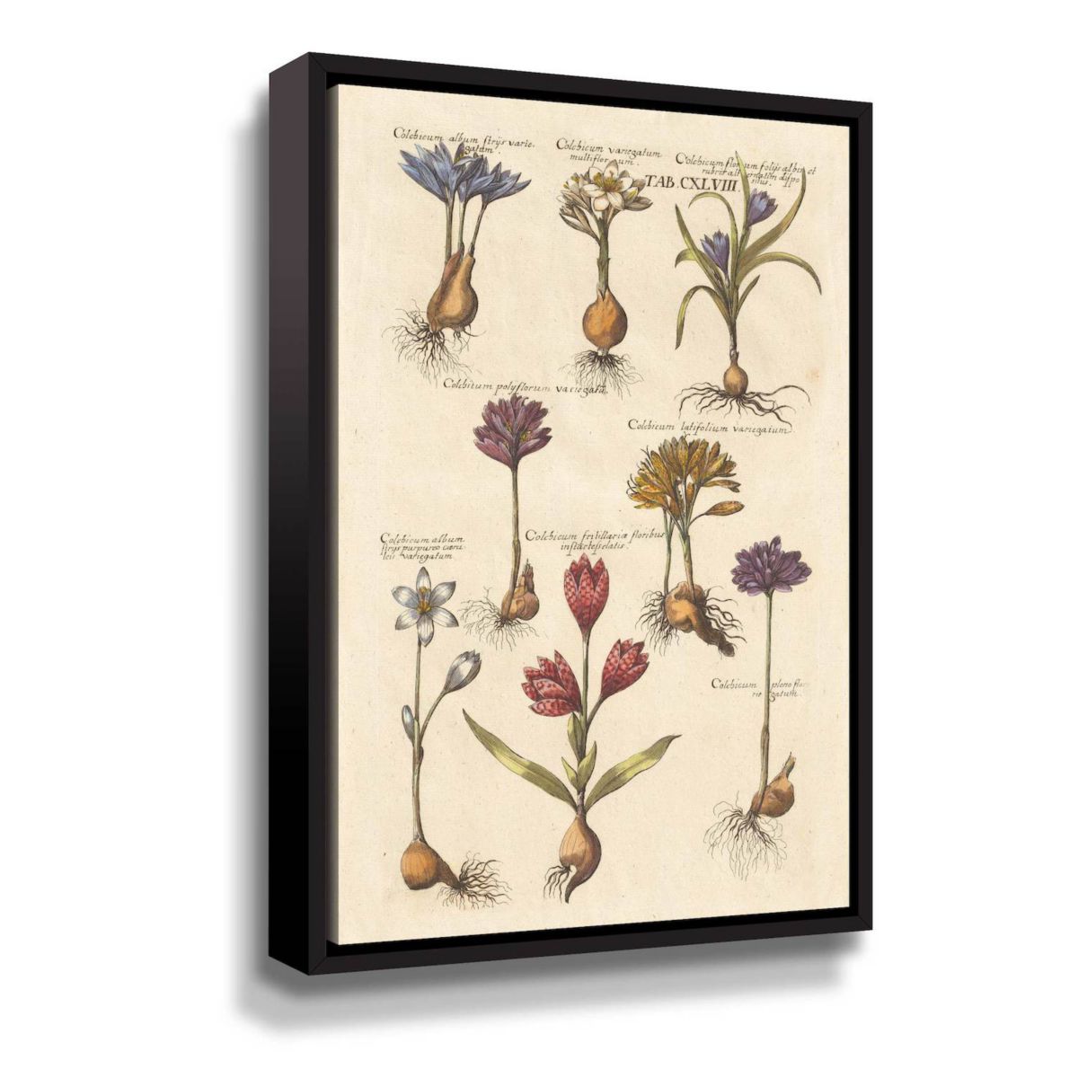 ArtWall Vintage Florilegium I Настенное искусство в цветочной рамке ArtWall