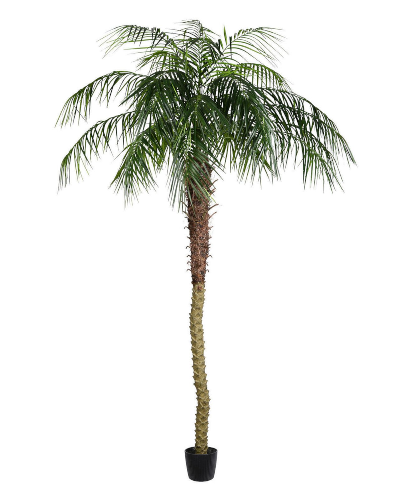 8' Artificial Potted Pheonix Palm Tree Vickerman