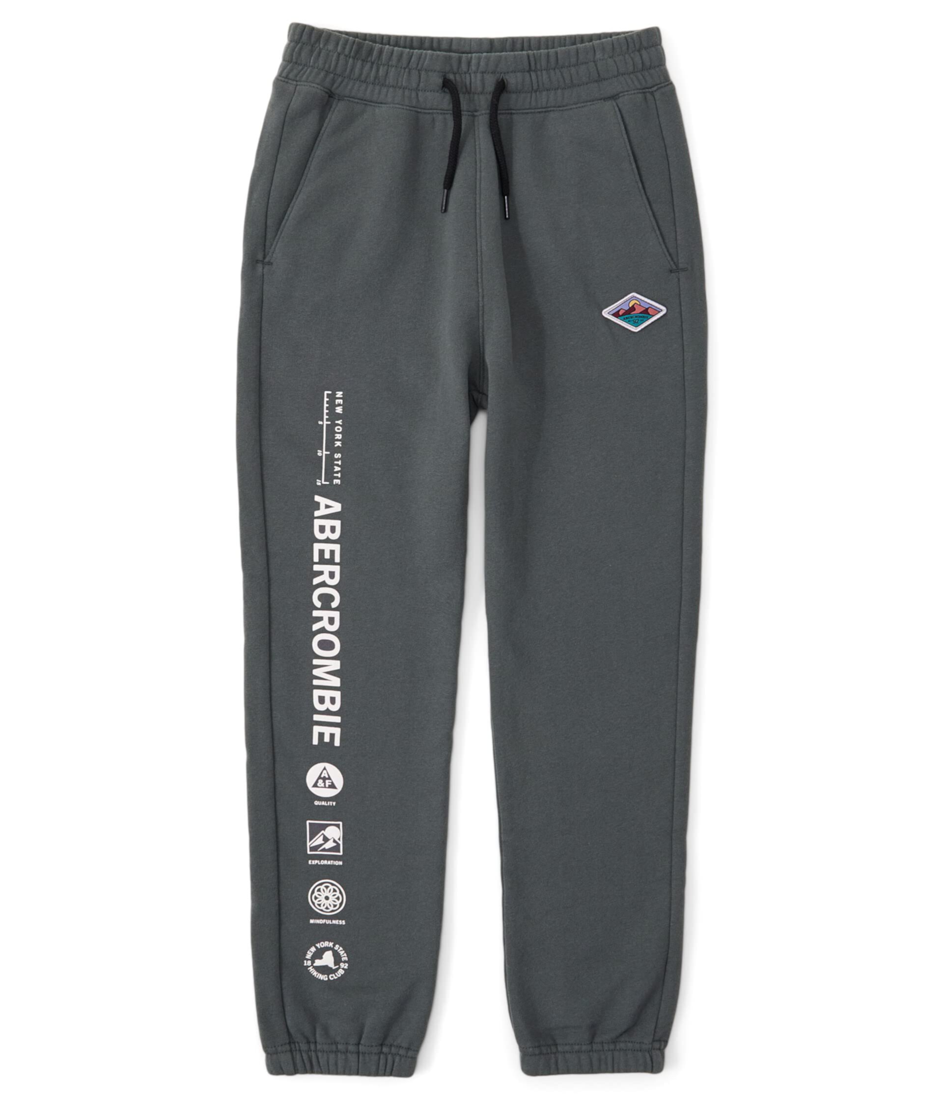 Спортивные штаны Easy-Fit с логотипом (для маленьких детей/больших детей) Abercrombie kids