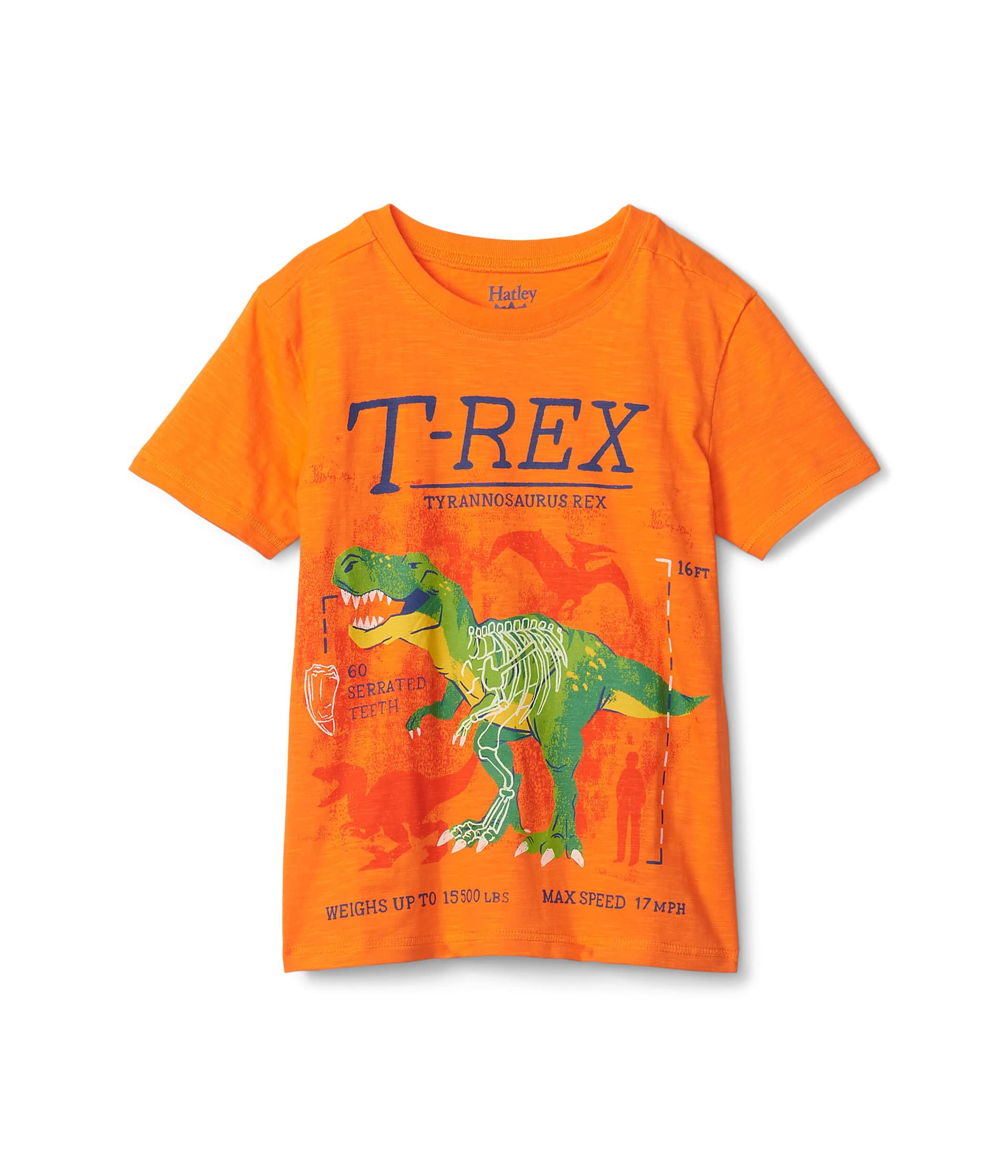 Футболка с рисунком T-Rex, светящаяся в темноте (для малышей/маленьких детей/больших детей) Hatley