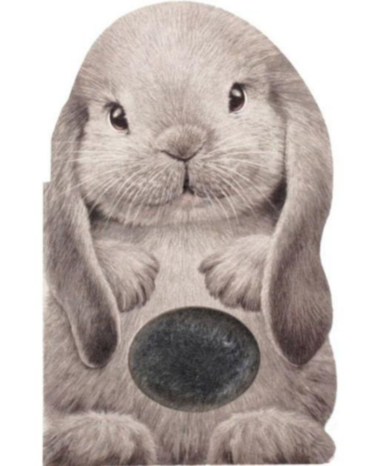 «Мешистый кролик» Энни Ауэрбах Barnes & Noble