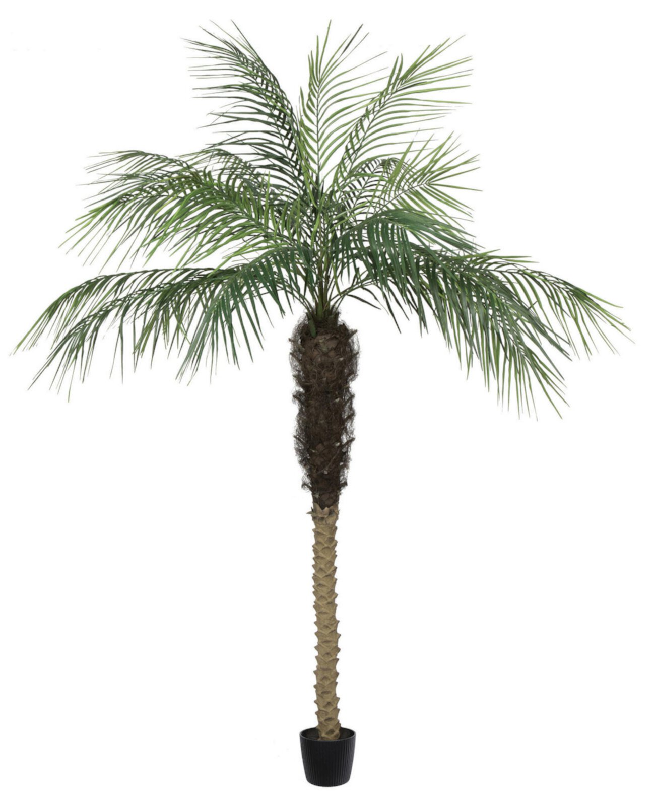7' Artificial Potted Pheonix Palm Tree Vickerman