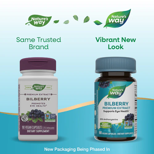 Bilberry Premium Extract - Supports Eye Health -- 90 Vegan Capsules (Веганские капсулы) Nature's Way