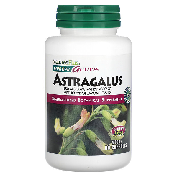 Астрагалус, 450 мг, 60 веганских капсул - NaturesPlus NaturesPlus