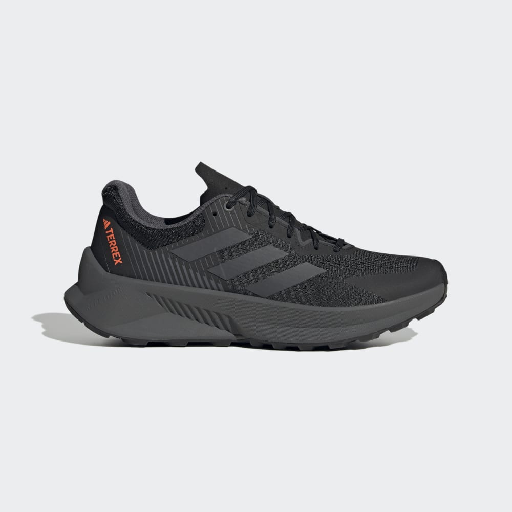 Adidas terrex best sale shoes for men