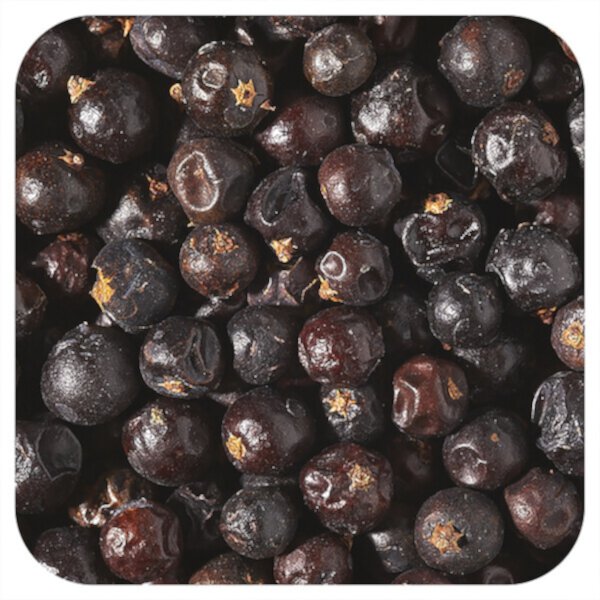 Organic Juniper Berries, 1 lb (453.6 g) Starwest Botanicals