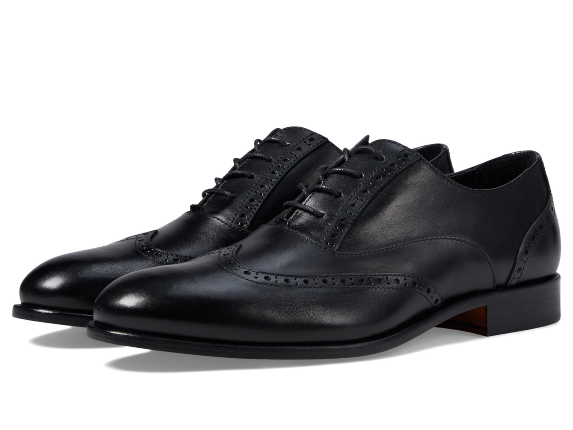 Мужские Оксфорды Massimo Matteo Corazzano Wing Tip Massimo Matteo