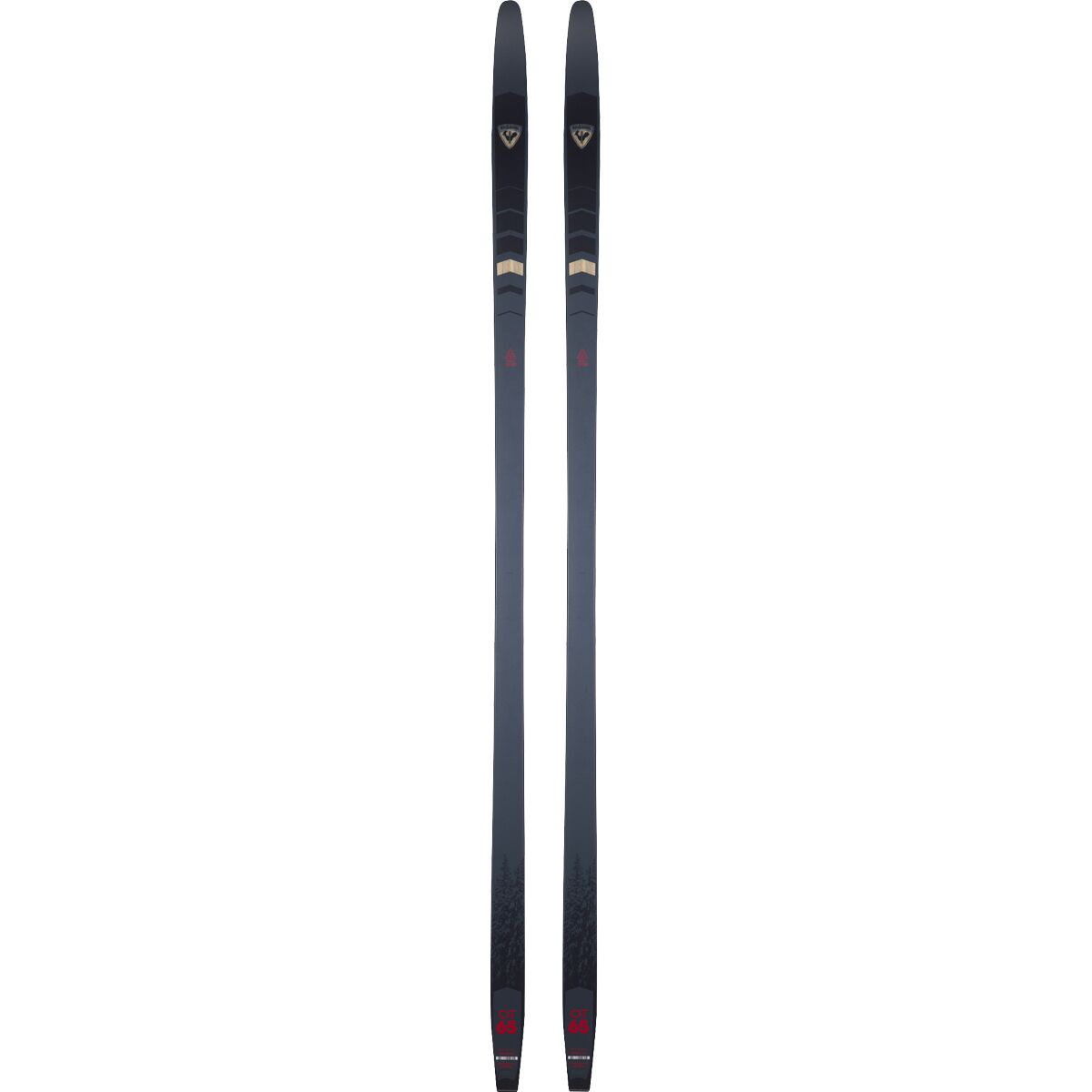 Беговая лыжа ROSSIGNOL Evo OT 65 Positrack - 2024 ROSSIGNOL