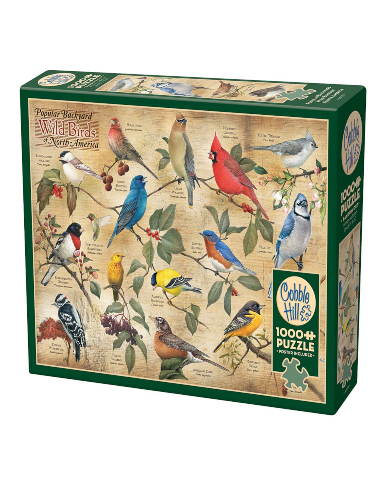 Популярная головоломка «Дикие птицы Северной Америки на заднем дворе» Cobble Hill
