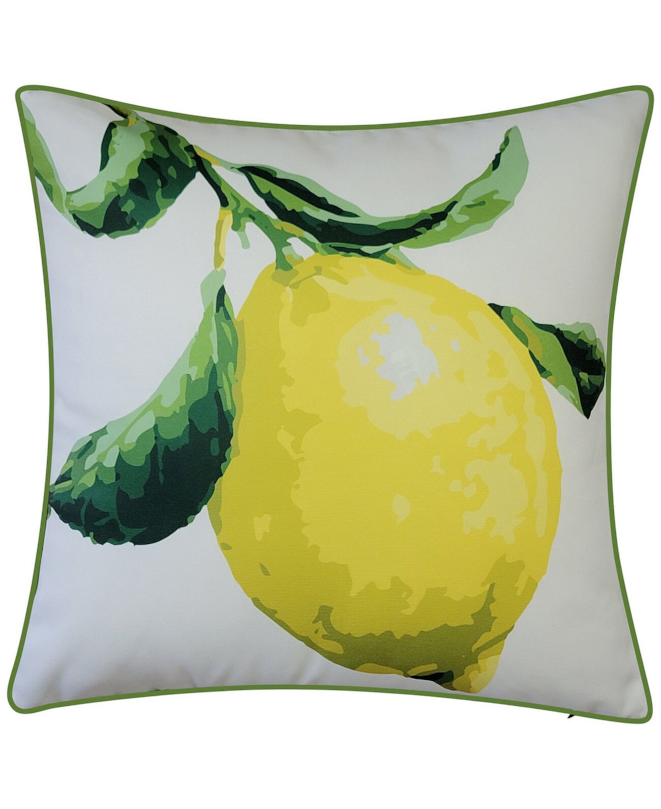 NYBG Большая декоративная подушка с лимонным принтом для дома и улицы, 20 x 20 дюймов Edie@Home