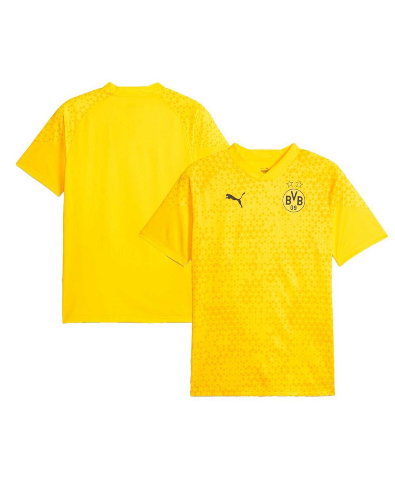 Мужская футболка для тренировок Borussia Dortmund 2023/24 от PUMA PUMA