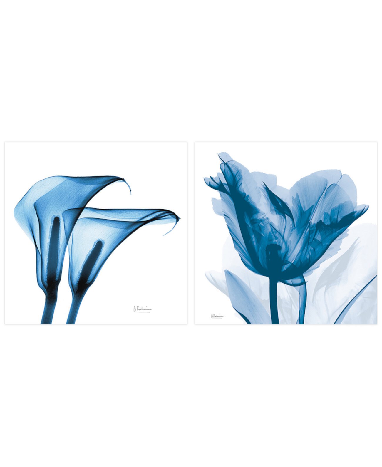 Lusty Blue Tulip Indigo Calla Lililes Безрамная свободно плавающая графическая настенная панель из закаленного стекла, 24 x 24 x 0,2 дюйма каждая, набор из 2 шт. Empire Art Direct