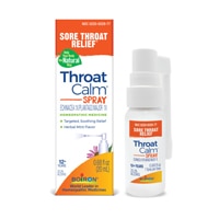 ThroatCalm Spray (Спрей) Sore Throat Relief Mint -- 0.68 fl oz (Жидкие унции) Boiron