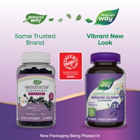 Sambucus Immune Gummies (Жевательные конфеты) for Kids - Elderberry Vitamin C & Zinc -- 60 Gummies Nature's Way