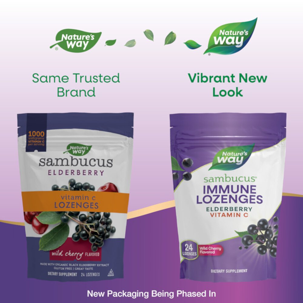 Sambucus Vitamin C Lozenges (Пастилки) with Elderberry - Wild Cherry Flavored -- 24 Lozenges Nature's Way