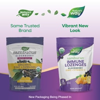 Sambucus Zinc Lozenges (Пастилки) - Elderberry & Vitamin C - Honey Lemon Flavored -- 24 Lozenges Nature's Way