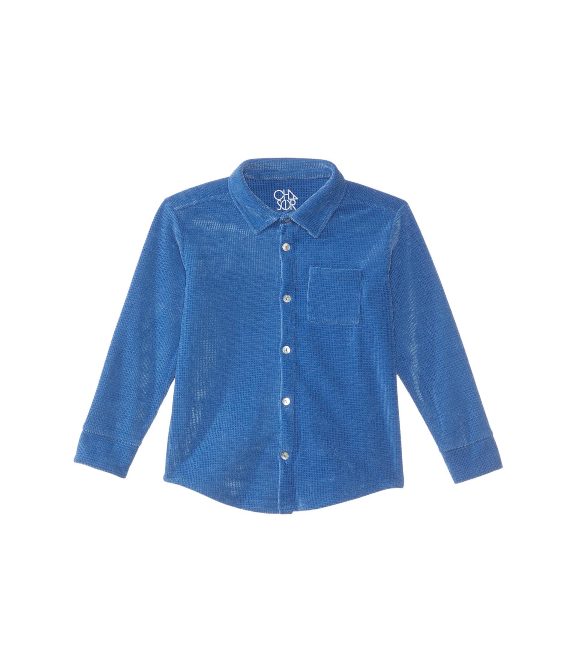 Button Down Collar Shirt (Little Kids/Big Kids) Chaser