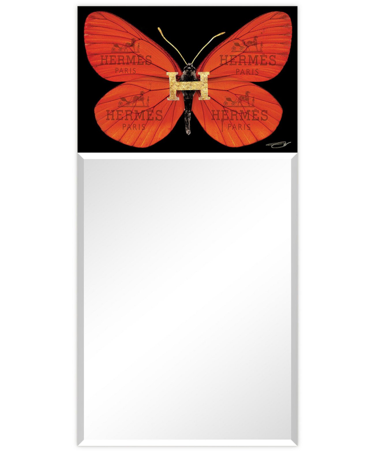 Прямоугольное зеркало со скошенной кромкой «Дизайнерская бабочка» на свободно плавающем закаленном художественном стекле с принтом, 48 x 24 x 0,4 дюйма Empire Art Direct