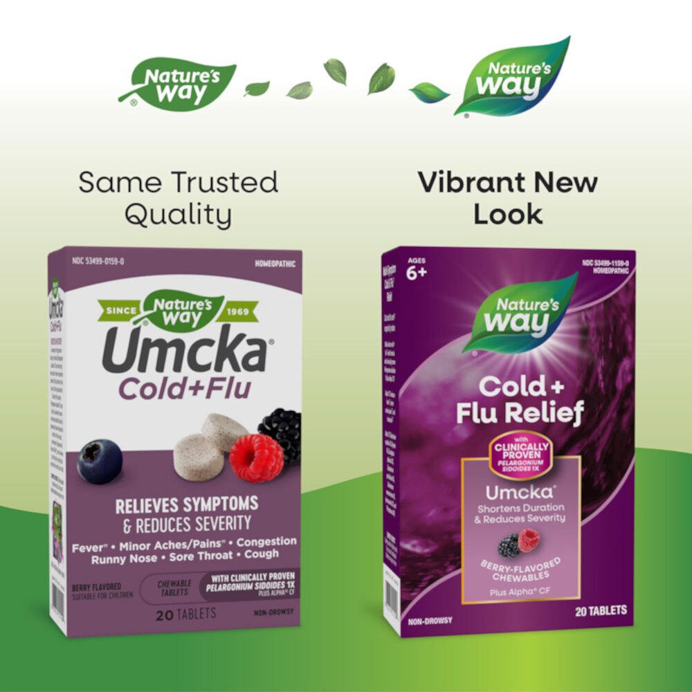 Cold+Flu Relief - Umcka Berry Flavored -- 20 Chewable Tablets (Жевательные таблетки) Nature's Way