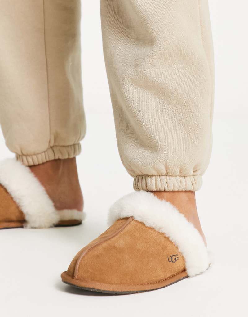 Женские Тапочки UGG Scuffette II в каштановом цвете UGG