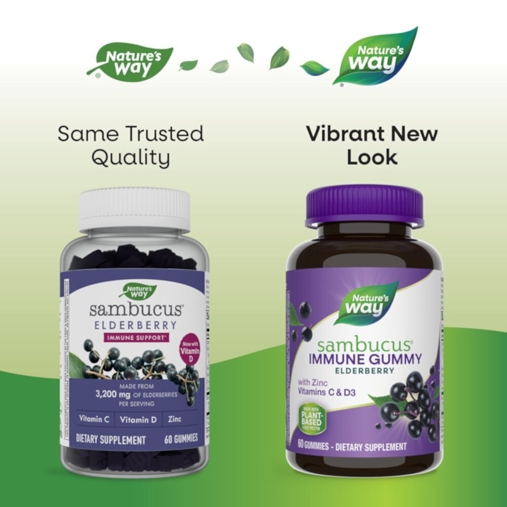 Sambucus Immune Gummies (Жевательные конфеты) - Elderberry - Vitamin C - Vitamin D3 - Zinc -- 60 Gummies Nature's Way