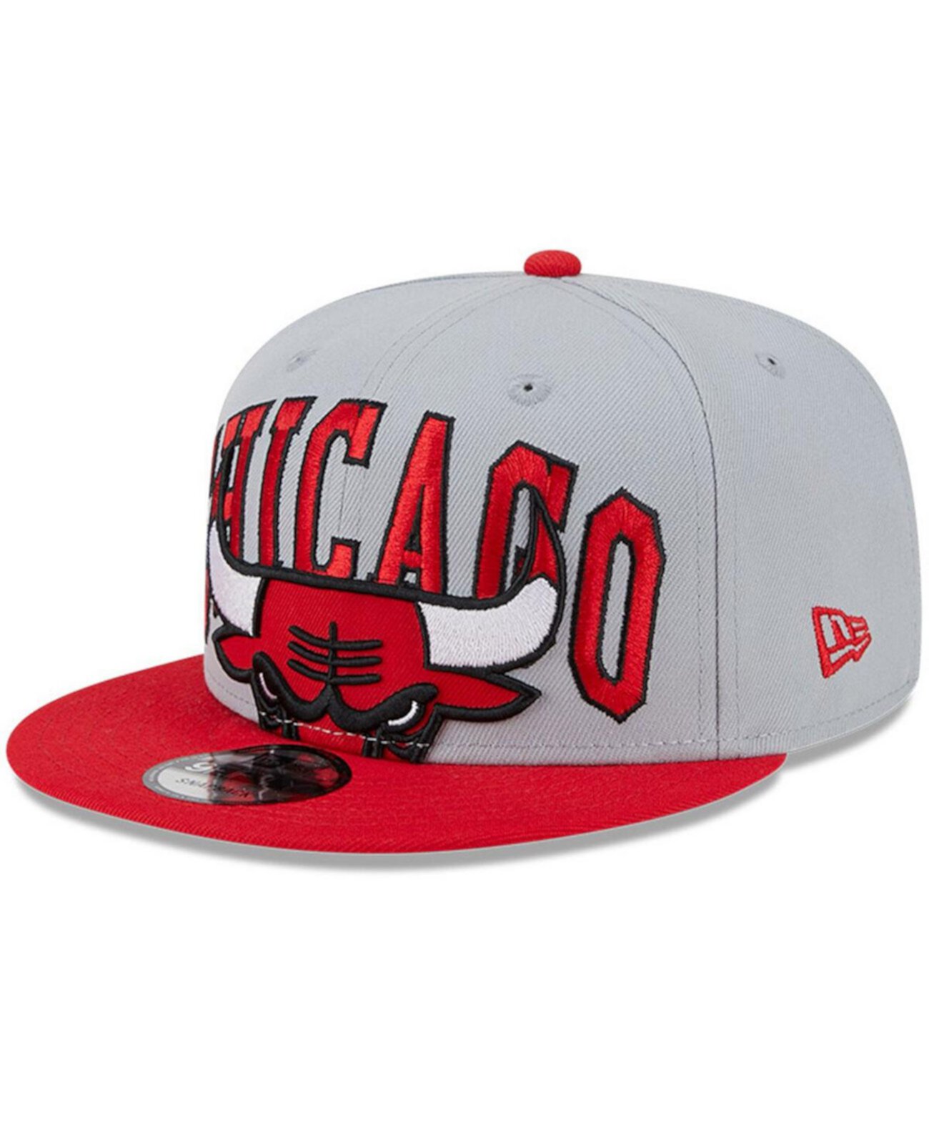 Chicago bulls 1996