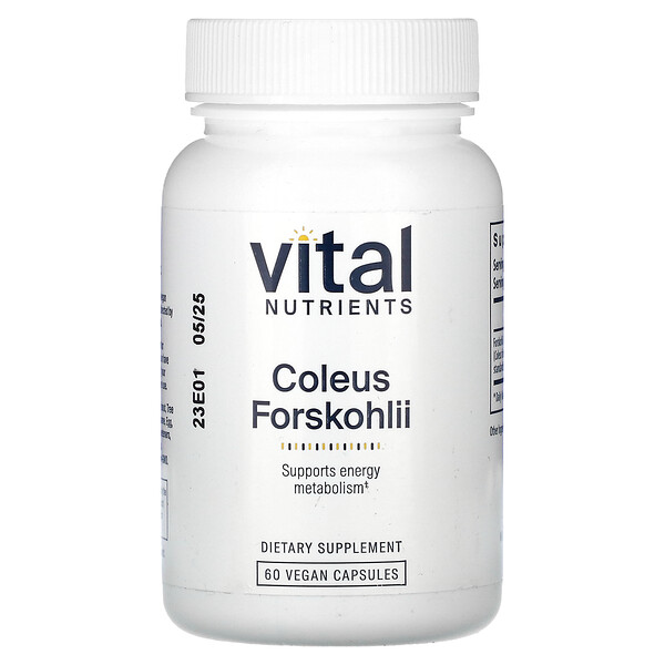 Coleus Forskohlii, 60 Vegan Capsules (Веганские капсулы) Vital Nutrients