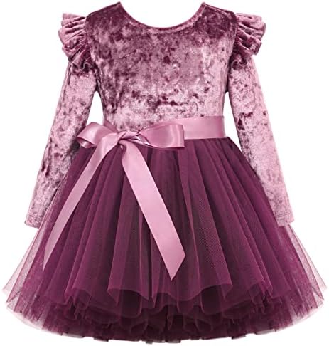 Flofallzique Toddler Velvet Dress Ruffle Long Sleeves Girls Princess Tulle Tutu Dresses for Birthday Party Flofallzique